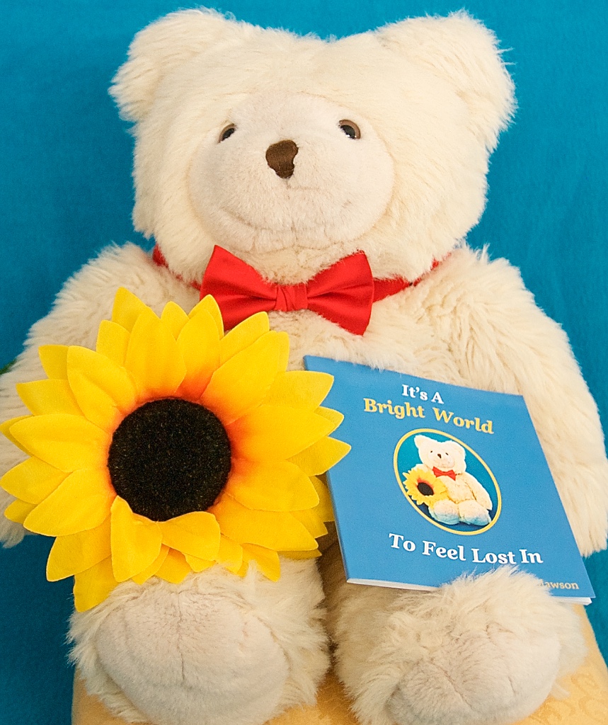 BW Maws Sunflower Book Small 2679