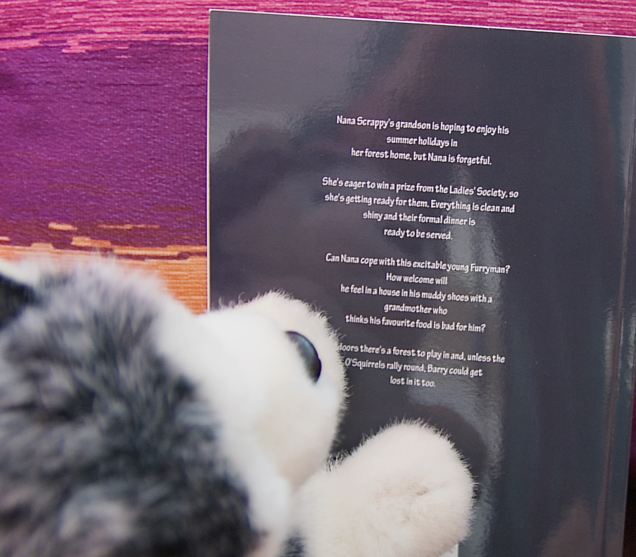 The back cover of Nana Scrappy