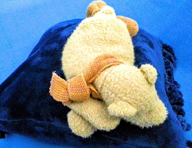 Just relax at Mawson' web den. LoLo Bear shows how its done