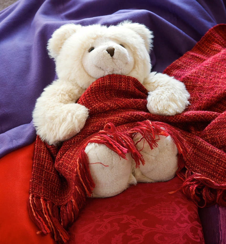 Mawson Bear demonstrates napping