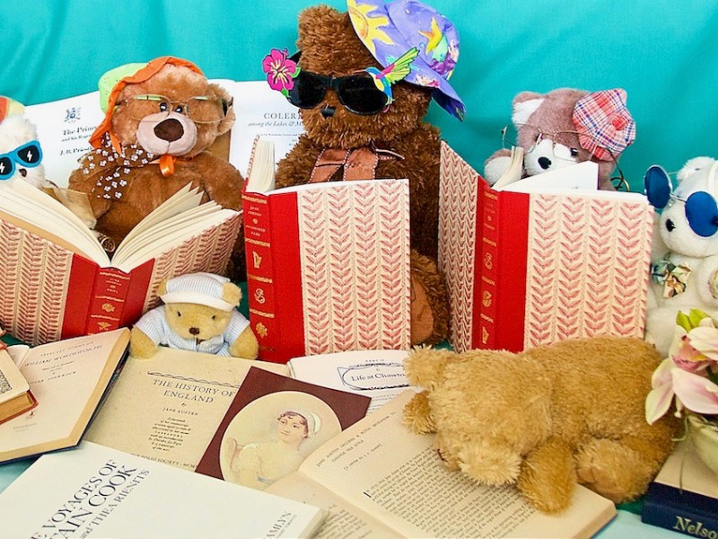 The Tedettes Jane Austen Book Club: Bother with&nbsp;Bonnets