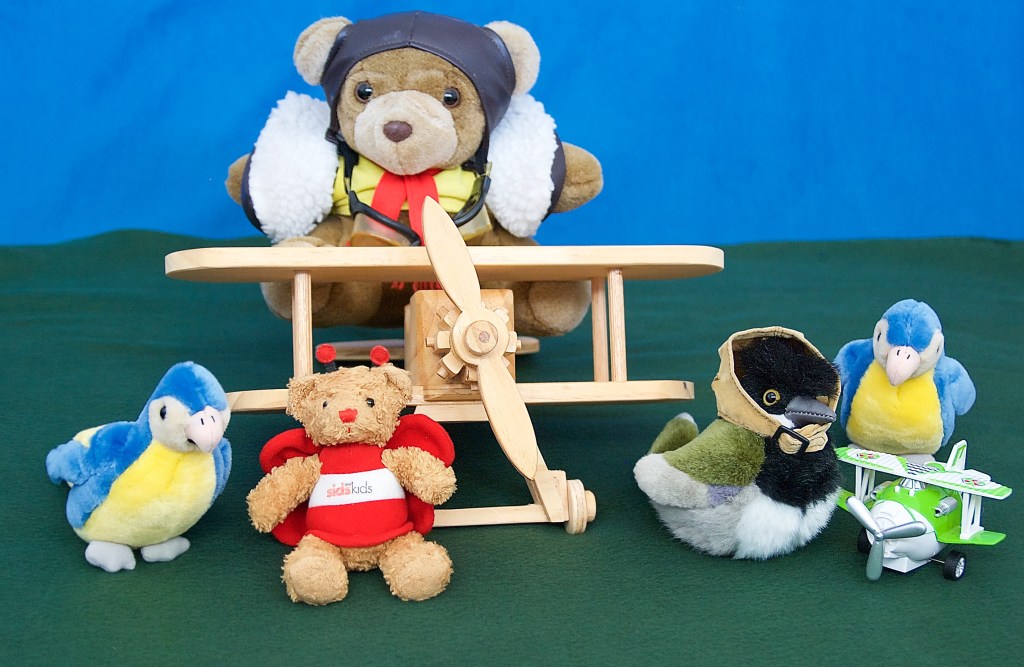  Flyer Bear and his magnificent machine, Miss Crested with her stunt plane, BeeBear and the daredevil Corella Twin