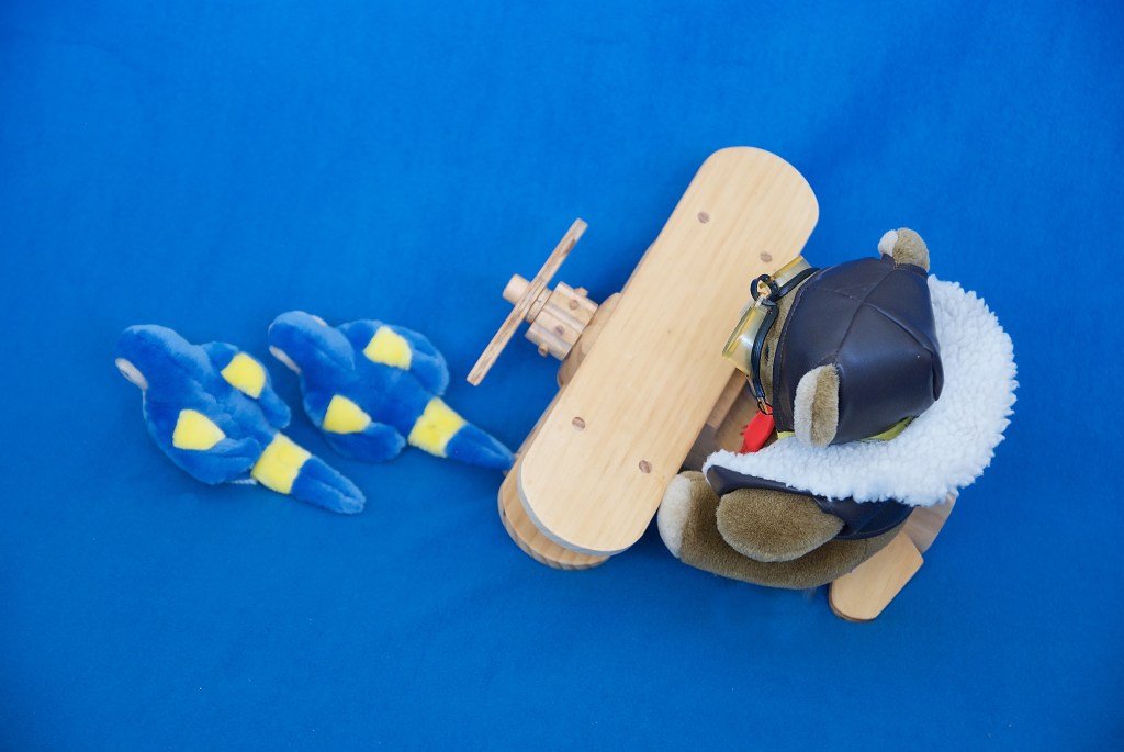 Flyer Bear on his magnificent machine soars behind the Daredevil Corella Twins