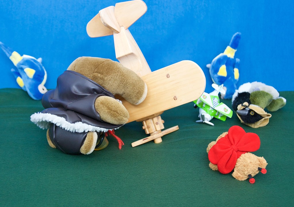 The bears and birds come down down down 