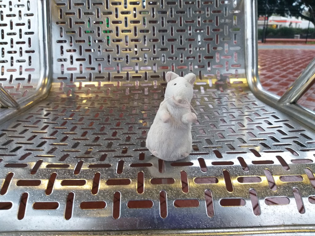 Office Ratty on a cold metal seat at the train station