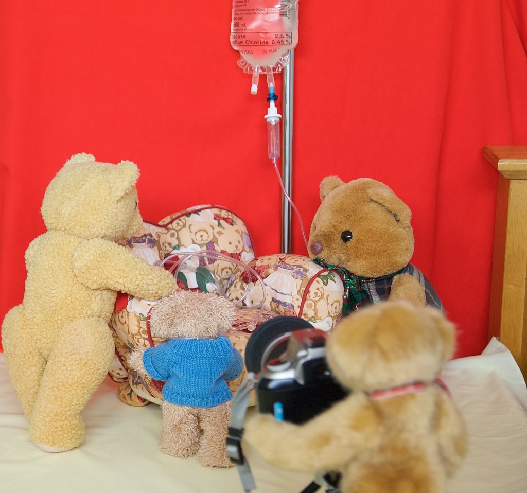 Old Yellow, Little Teddy and Scotty position the chair for Oscar's photo