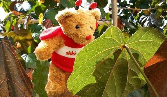 BeeBear checks her reflection .Yes, a very lovely bee or bear or Beebear indeed.