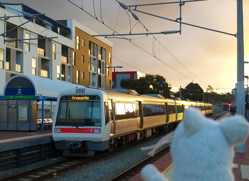 Office Ratty commutes to an office