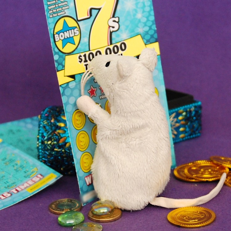 Office Ratty makes Wise Investments with a lottery scratch card. What could go wrong?