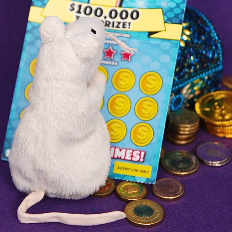Full of confidence, Office Ratty scratches and scratches at the lottery cards