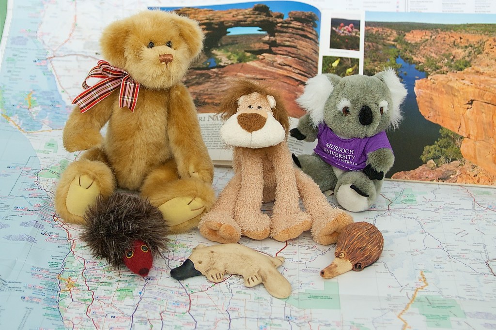 Gavin (with bowtie), Lionel The Lion (with mane) and Koala (with cute ears) with Australian Friends
