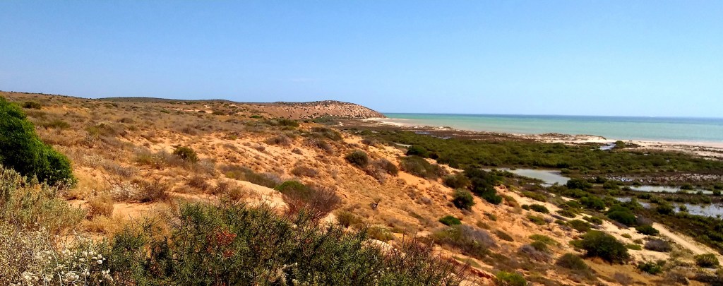 The coastal landscape of the Shark Bay region.