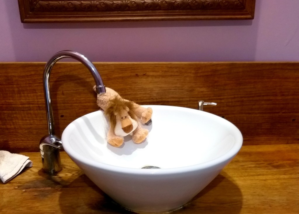 Slippery Dip. Also called a wash basin