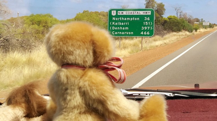 Geraldton to Denham. Only 397 km to go
