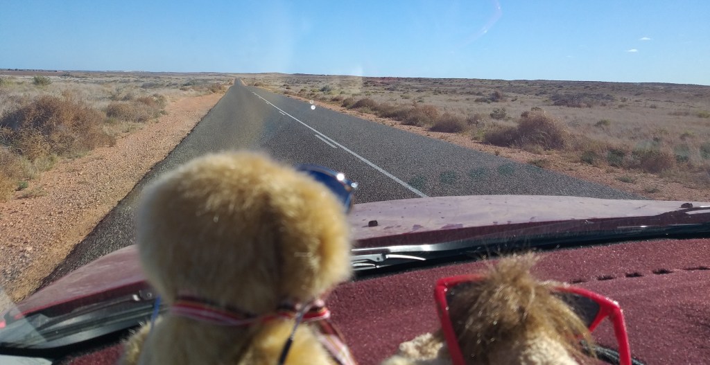 Gavin and Lionel look for trees in the country between the Overlander road house and Carnarvon