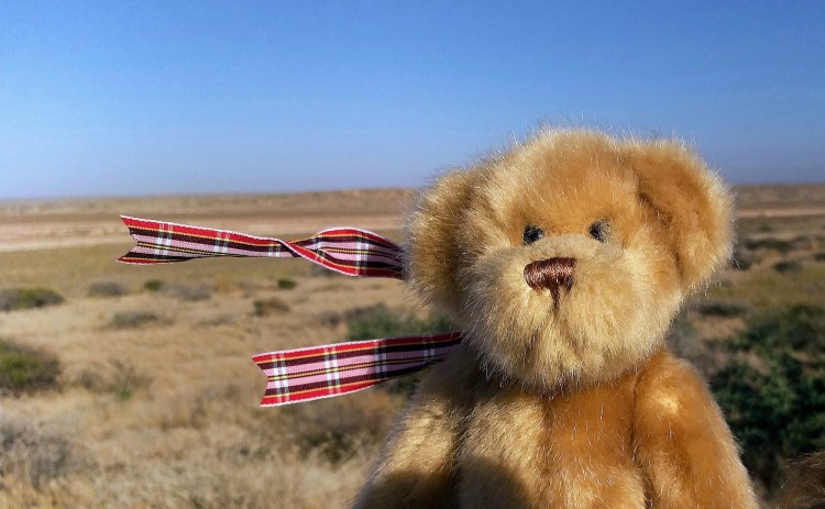 Hang on to your bow tie ,Gavin! The wind nearly unravels its.