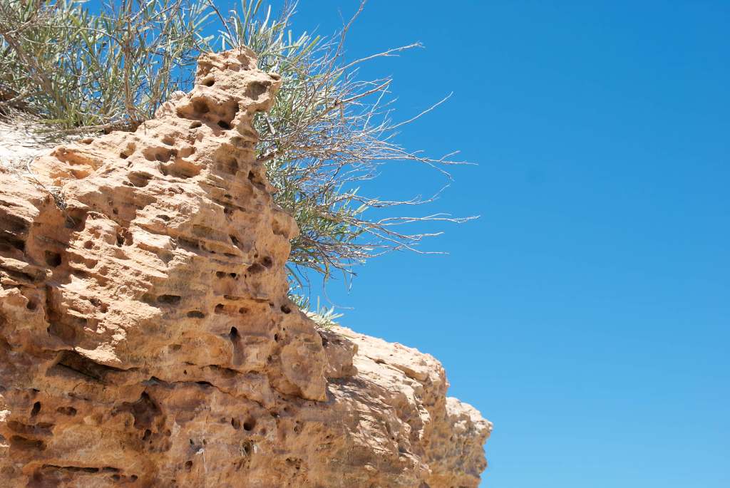The limestone shores of the coast and outcrops