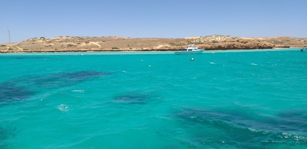 Looking back to shore from the tour boat