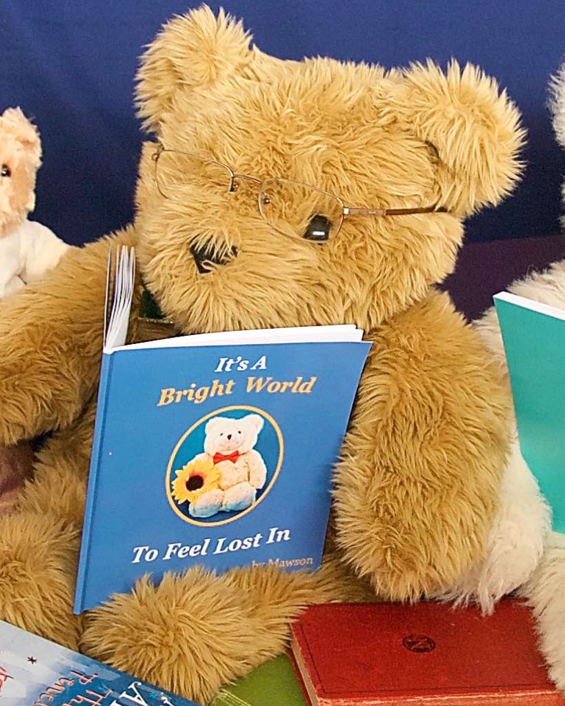 Its a Bright World To Feel Lost In. This is Mawson's first book. Bomund Bear appears in it.