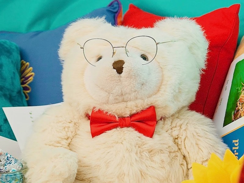 My Splendid Career As A Bear About&nbsp;Town