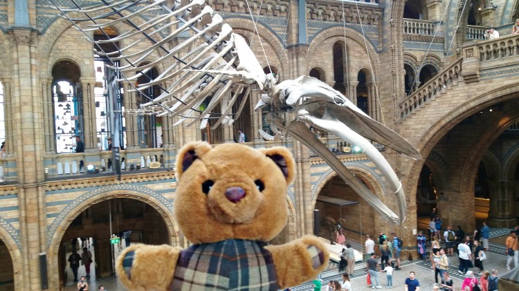 A blue whale sweeps behind Scotland the Brave in the Natural History Museum