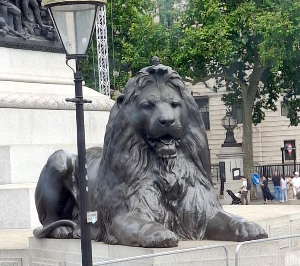 Trafalgar Square Lion