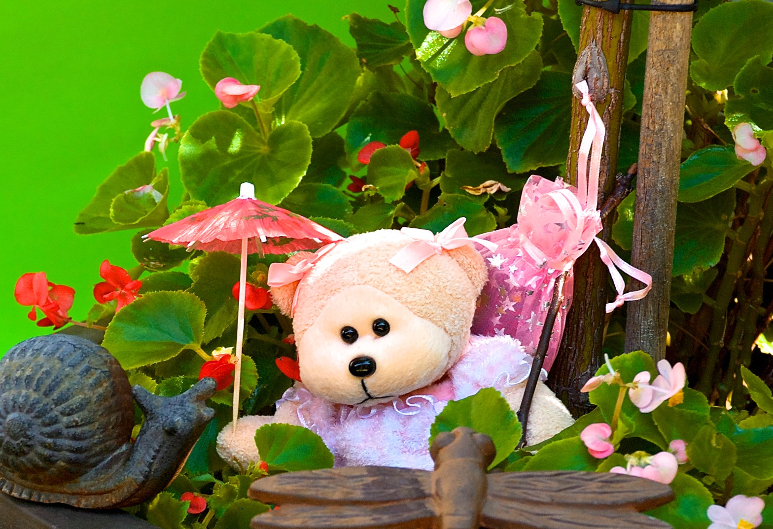 Frilly sets off on a quest