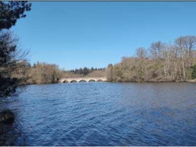 Edward Explores: Two Royal&nbsp;Parks