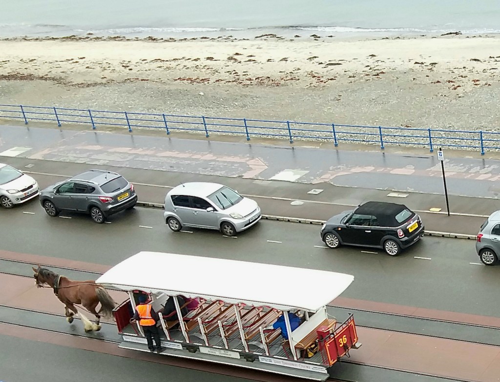 Horse tram being pulled along the Promenade in Douglas in Isle of Man