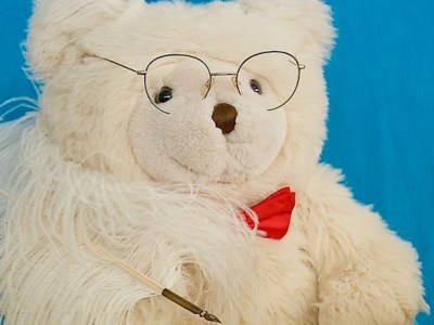 How To Be A&nbsp;Writer-Bear