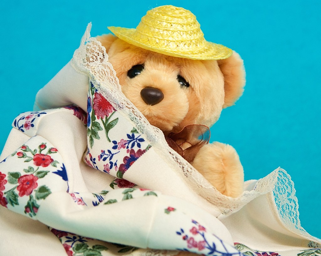 Bleary Bear wakes up blearily