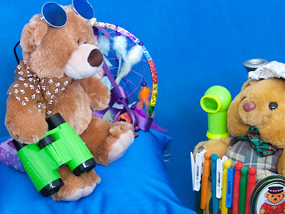 Mawson, One of this bright world’s few published writer-bears, has a new book out&nbsp;soon